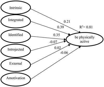 Analysis of the motivational processes involved in university physical activity